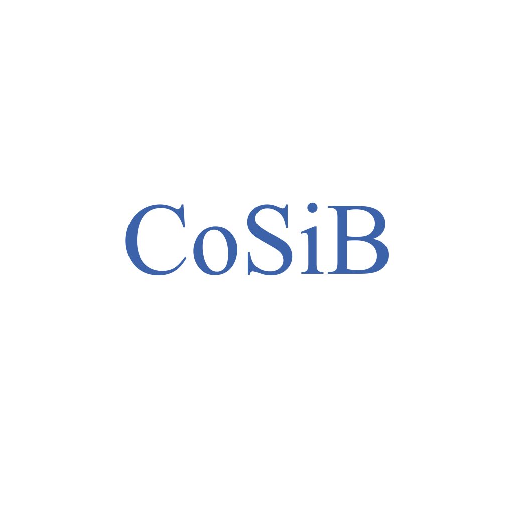 Cobalt Silicone Bore (CoSiB)pulvérisationcible-VI HALBLEITERMATERIAL GmbH