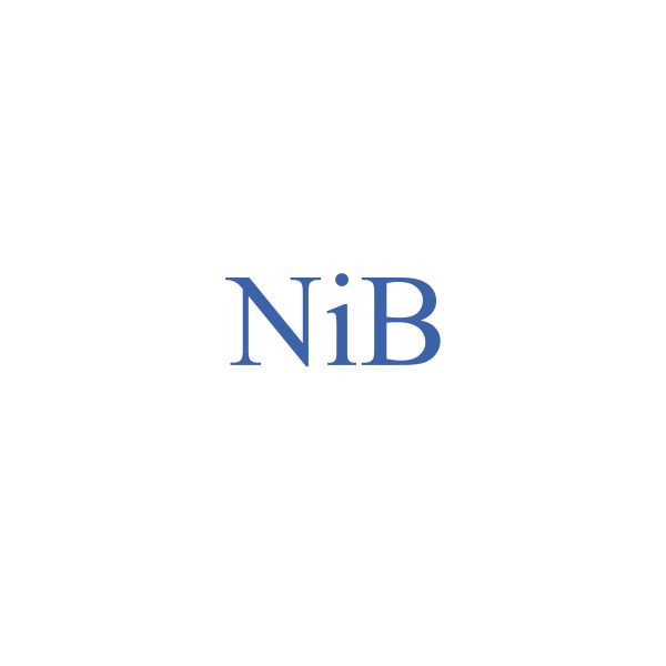 Nickel Boride(NiB)pulvérisationcible-VI HALBLEITERMATERIAL GmbH