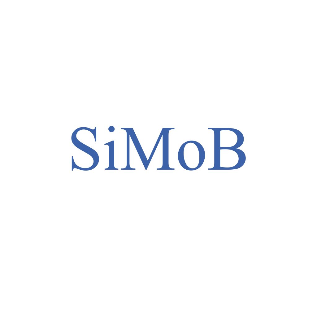 Silicone molybdène bore (Si-Mo-B) - VIMATERIAL
