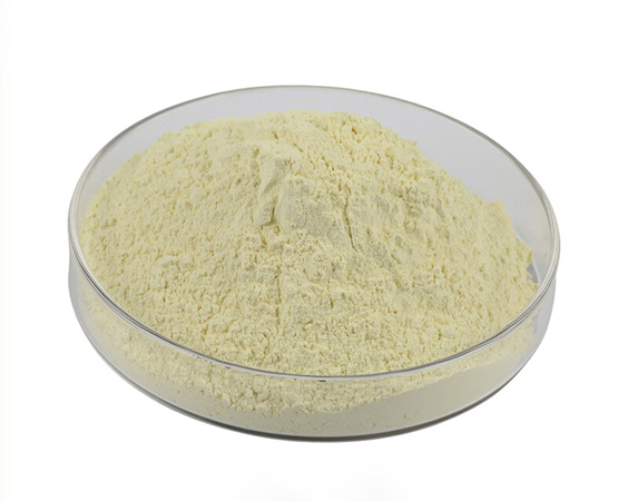 Nano Cerium oxide powder